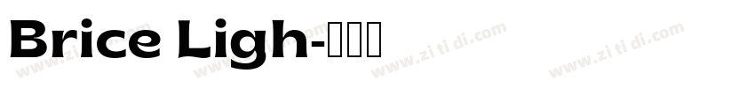 Brice Ligh字体转换